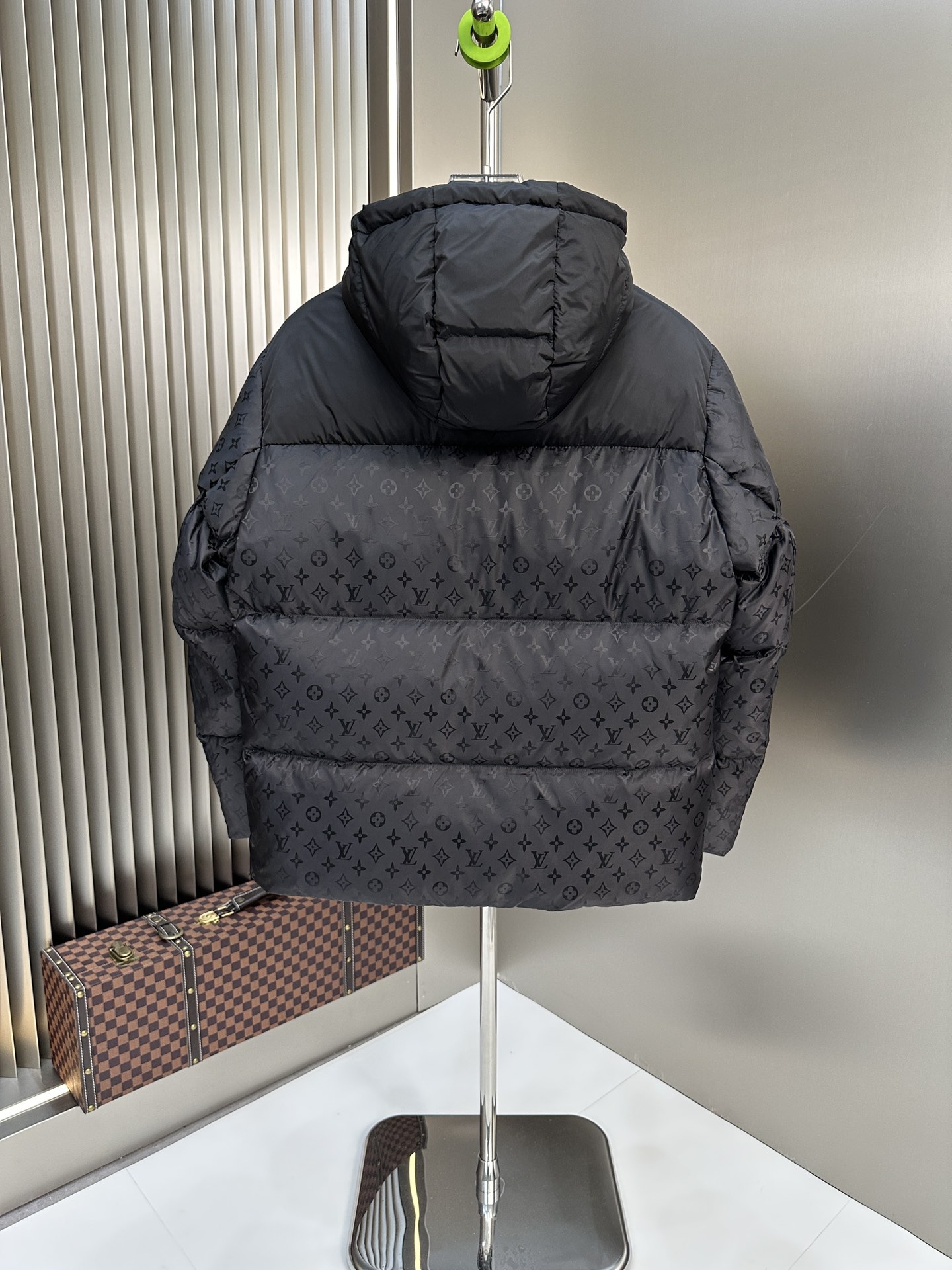 Louis Vuitton Down Jackets